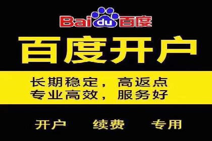 竞价端口开户全攻略，案例分析