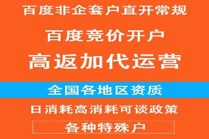 精准投放，高效转化——网站sem托管的胜利案例